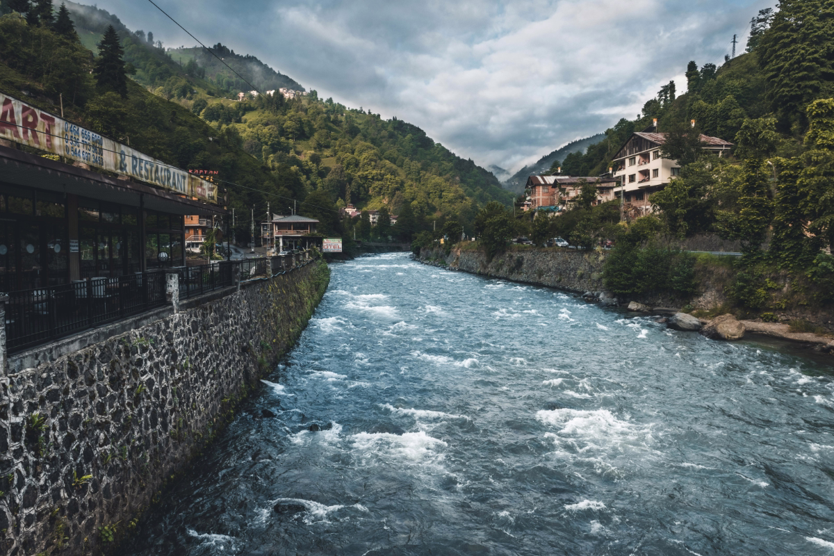 Rize 1