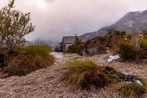 Tasmania 2