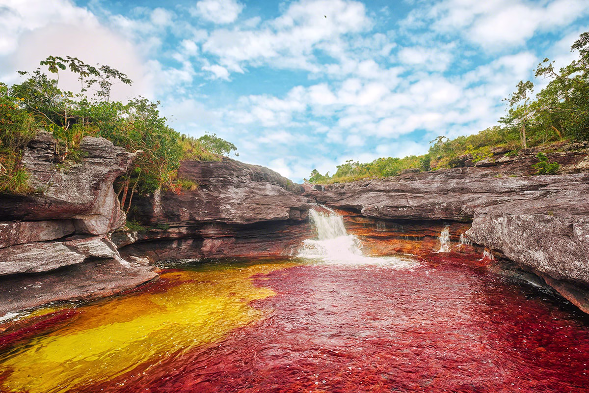 Скритите чудеса на Южна Америка 3 cano cristales