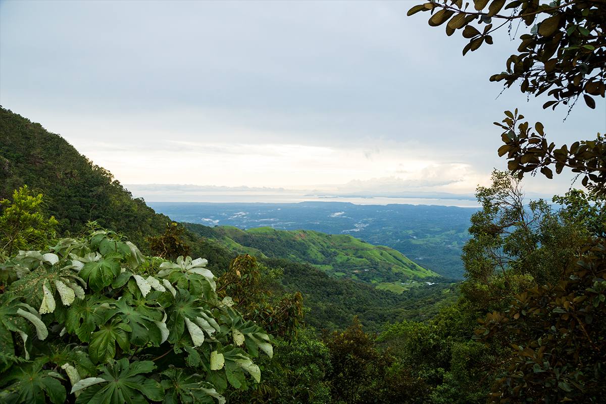Топ 10 национални парка в Коста Рика 1 costarica