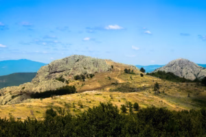 karandila2