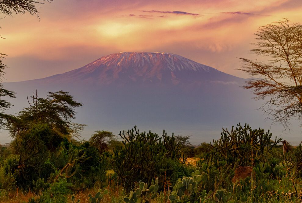 kilimanjaro