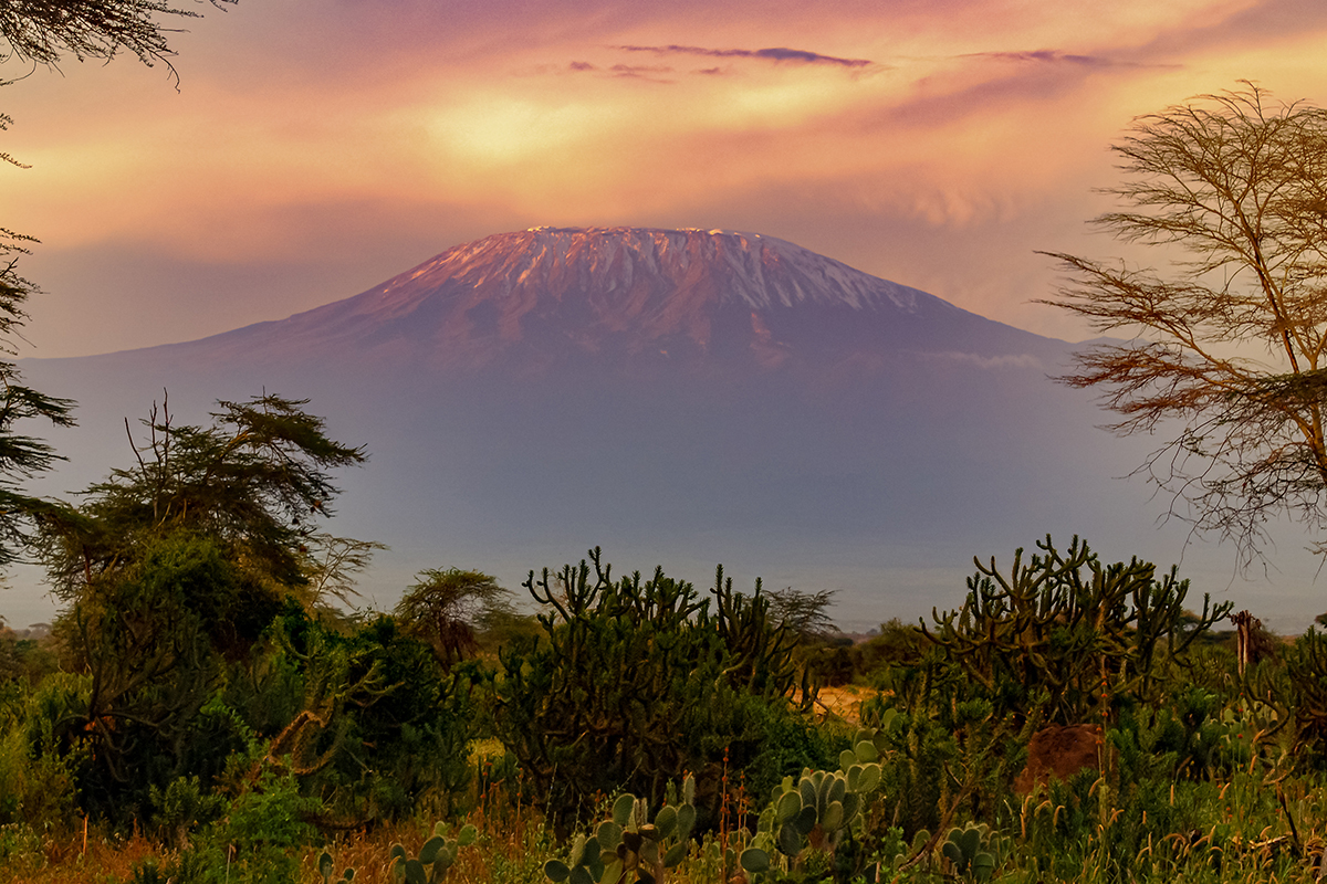 Килиманджаро – най-високата планина в Африка 1 kilimanjaro