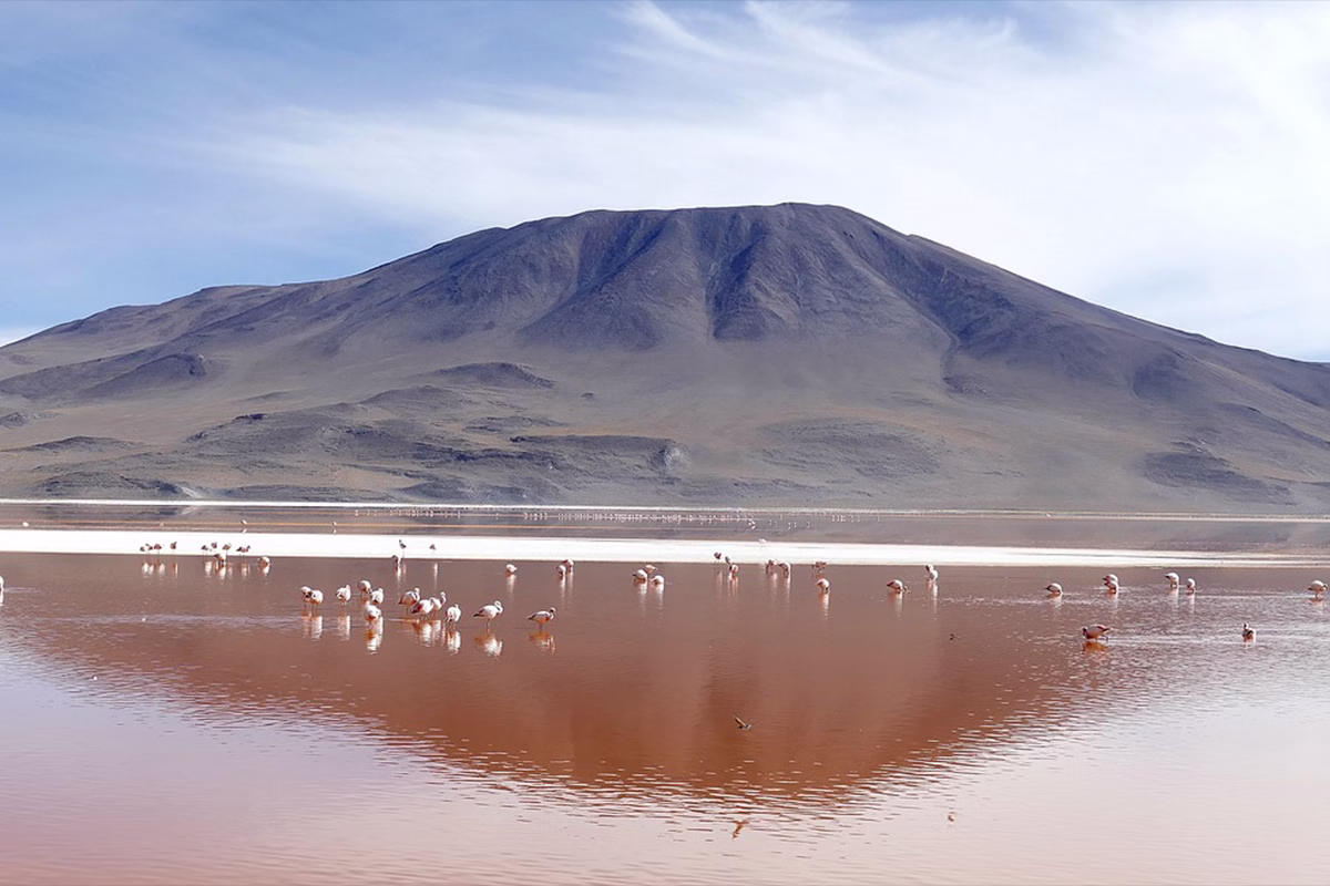 Скритите чудеса на Южна Америка 2 laguna colorada