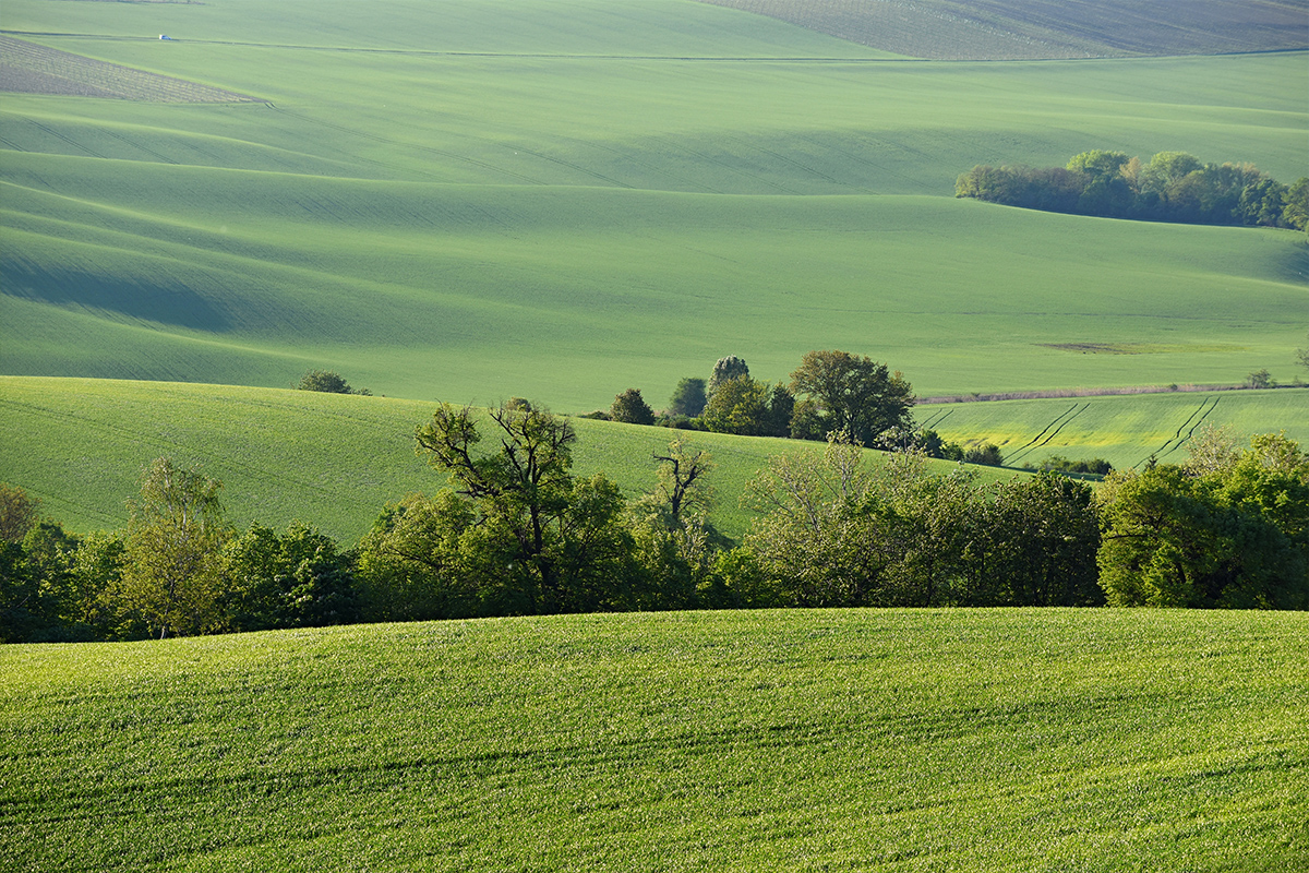 Моравия: Пътешествие през винените региони на Чехия 1 moravia