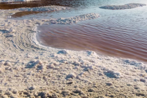 Мъртво море: Най-уникалният воден басейн на планетата 2 murtvo more1