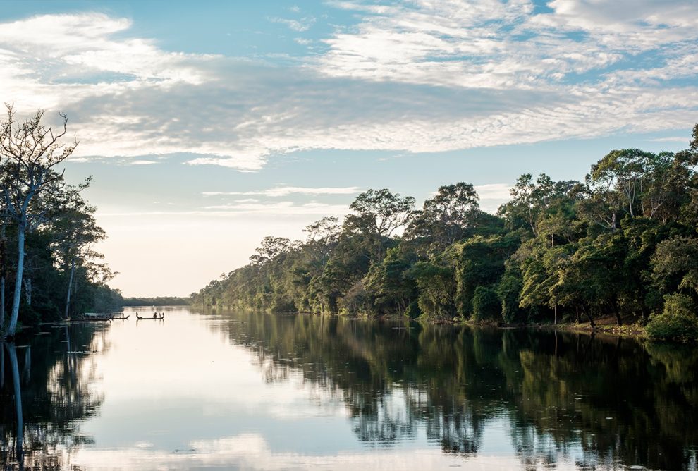pantanal