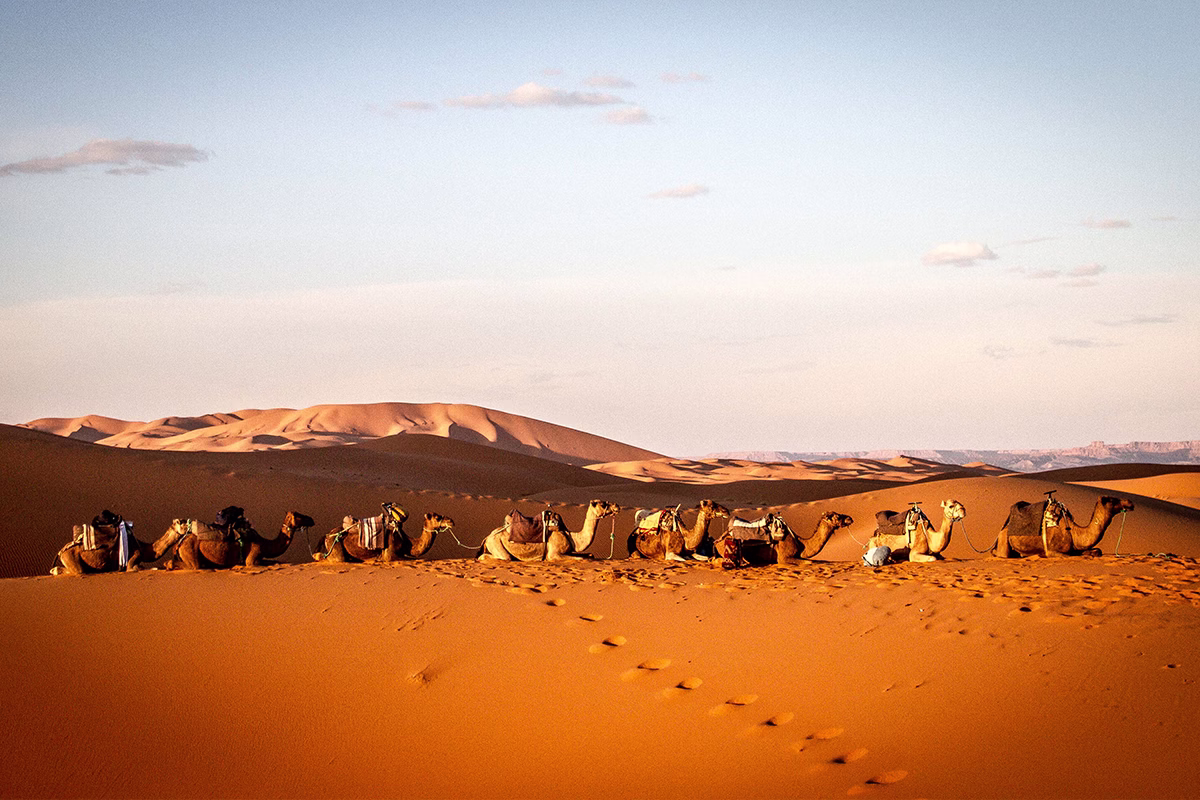 sahara