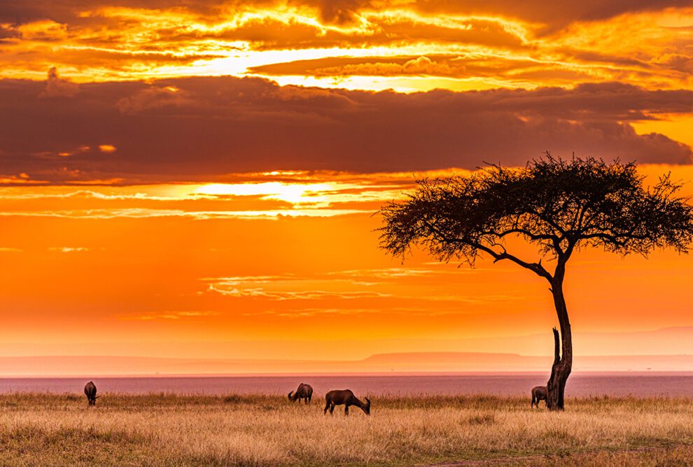 tanzania opasnosti