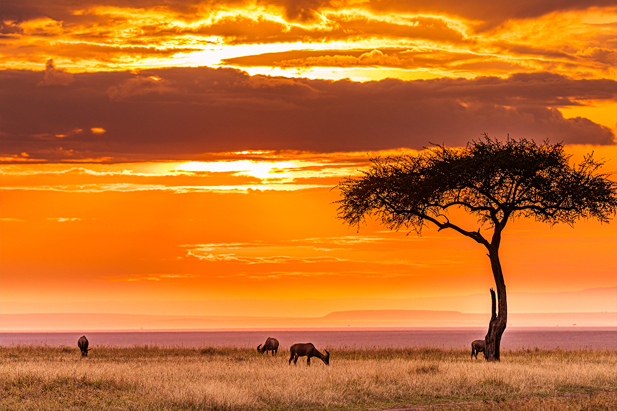 tanzania opasnosti