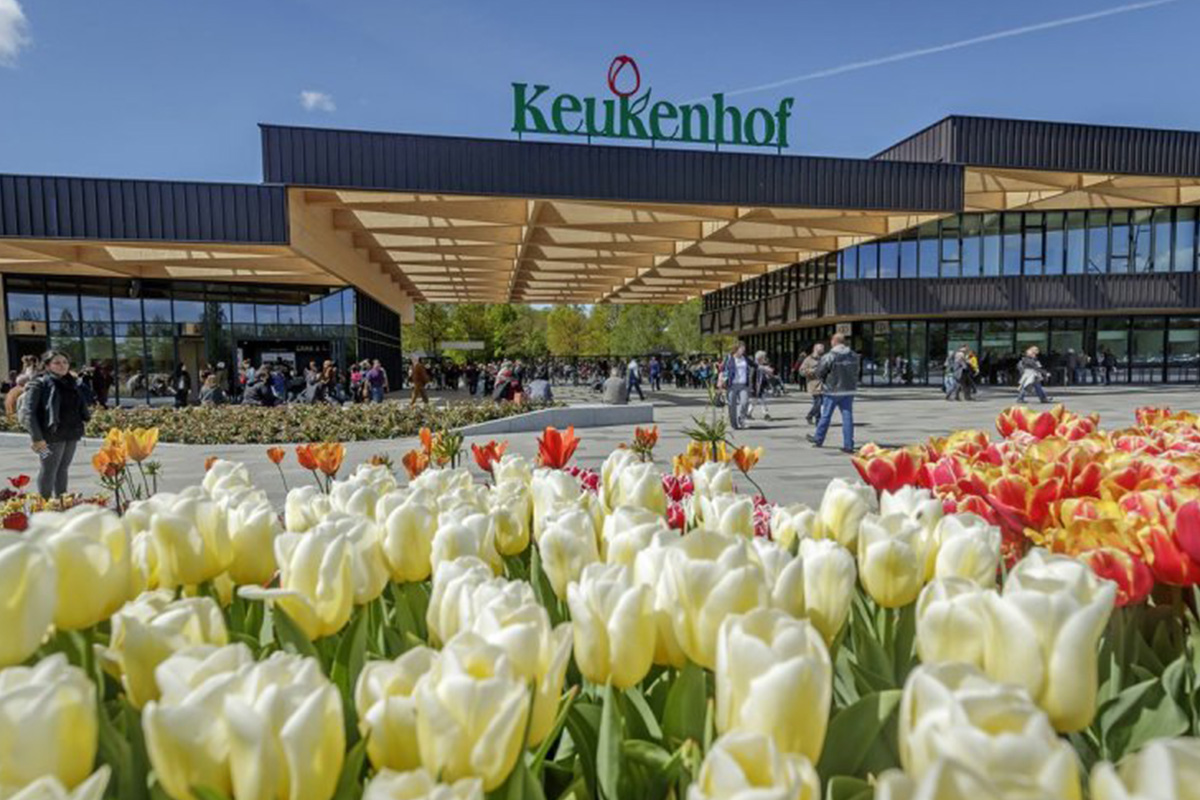 Цветно пътуване: Най-шарените места в света 7 tulips