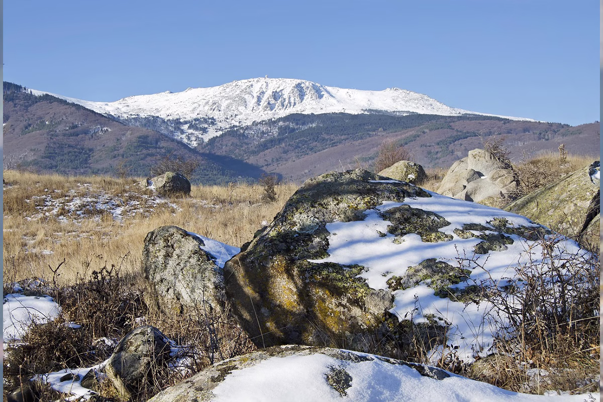 Витоша – среща с природата на една крачка от града 1 vitosha1