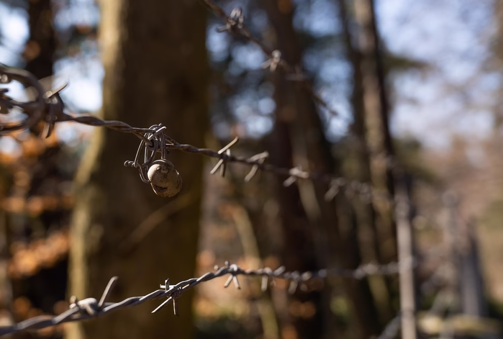wire fence