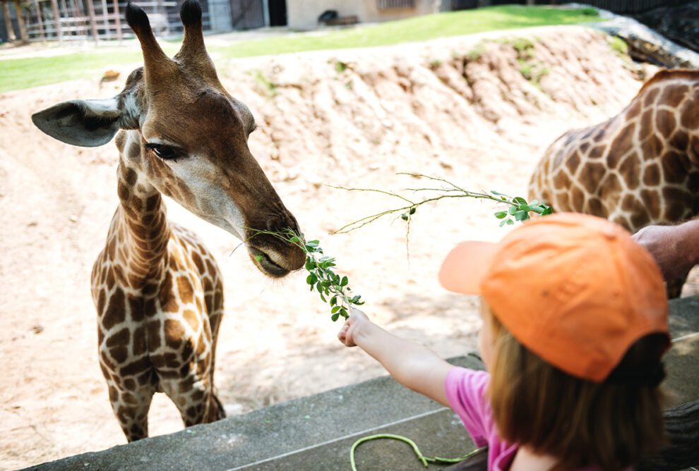 zoo germany