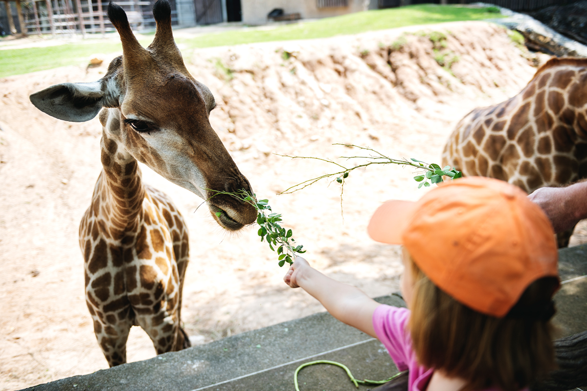 zoo germany